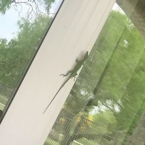 Meet your Posher, Karina